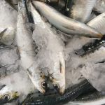 Sardinhas - Restaurante a Sardinha - Peniche